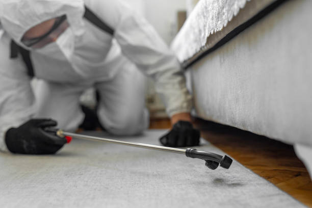 Professional Bed Bug Control technician working in Carolina Beach, NC